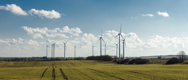 Wind Farm in Brandenburg