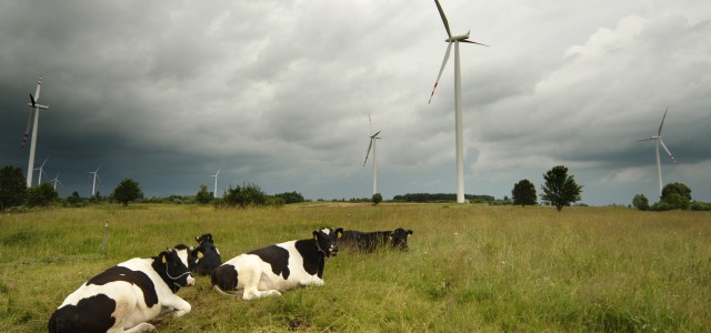 Polish Wind Power