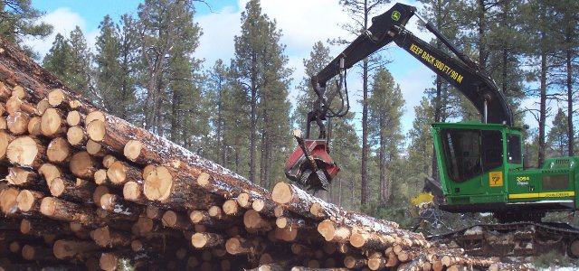 Logging in Arizona
