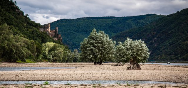 Low water level in river Rhine, August 2015