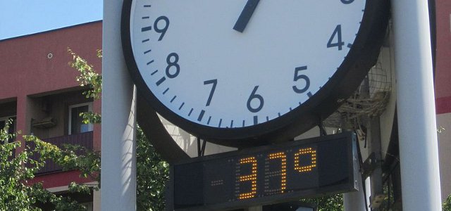Polish Heat Wave August 2015