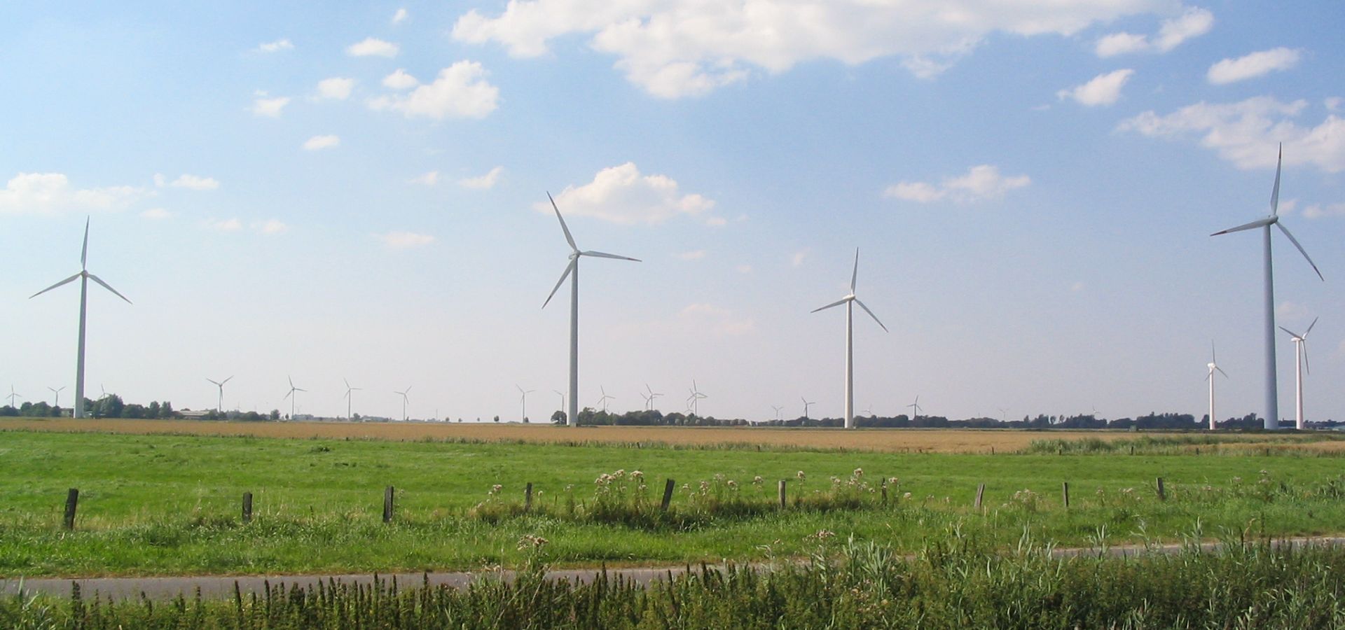 A grassland and windmills