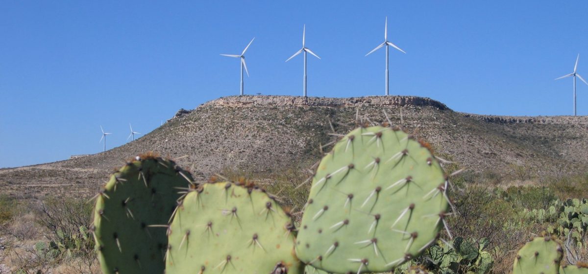 There's a cactus in the foreground and windmills on desert hills in the background.