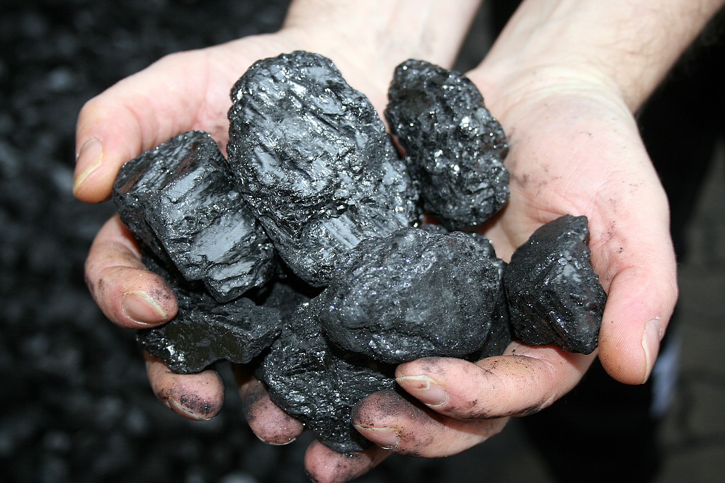 Hands holding a large number of coal lumps