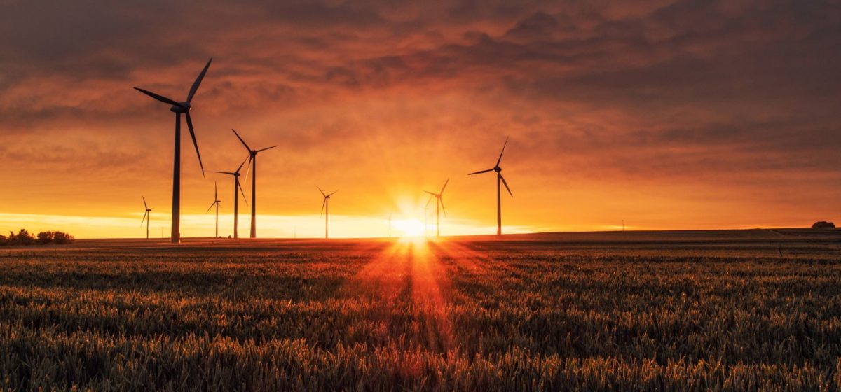 wind turbines in a field of wheat with sunset behind