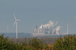 Hambach forest treetops with coal plant and wind turbines in background