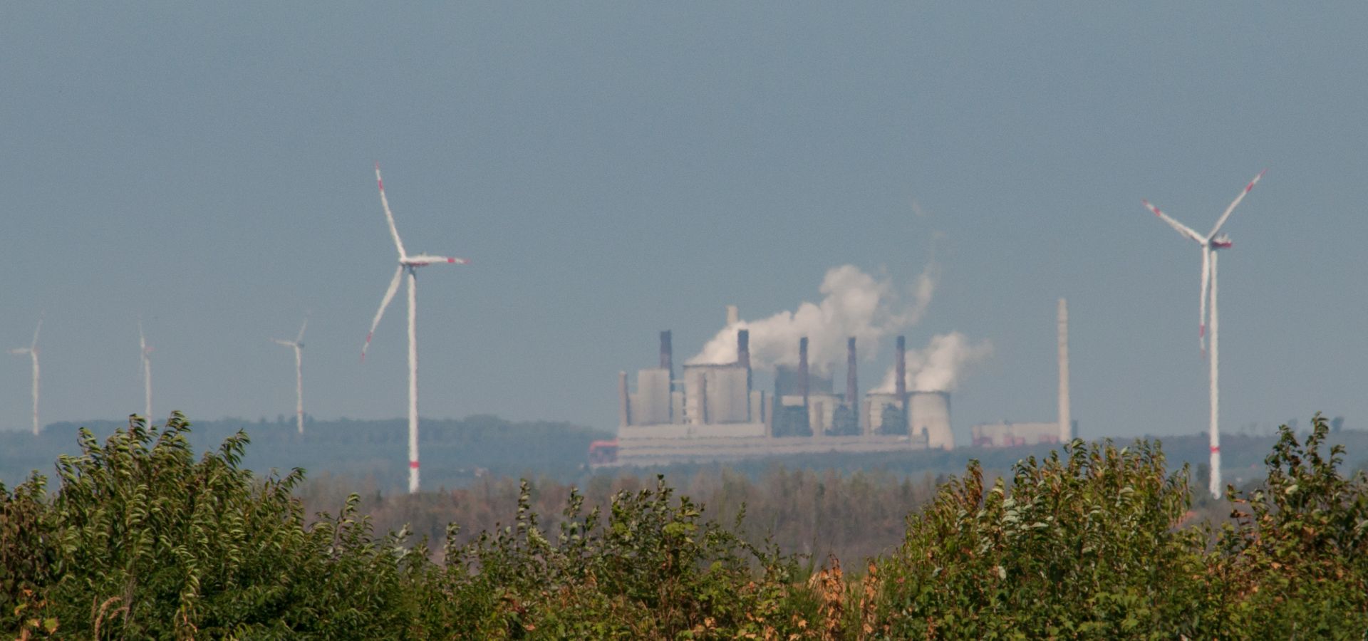 Hambach forest treetops with coal plant and wind turbines in background