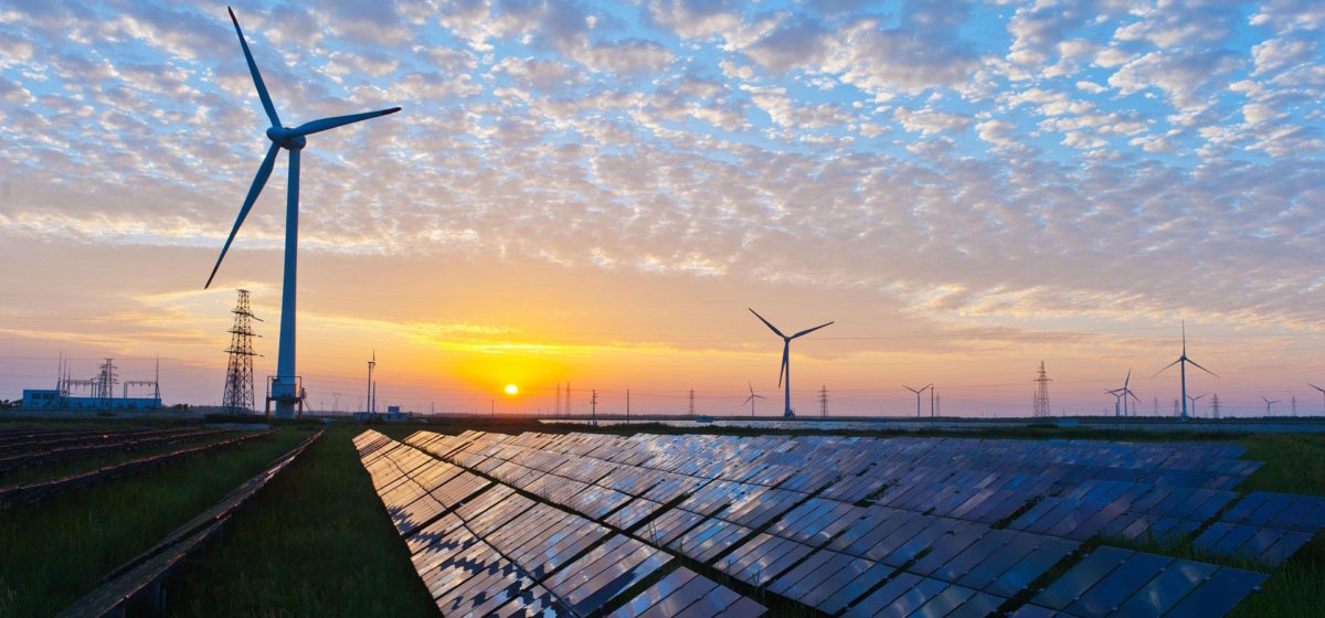 solar panels and wind turbines with sunrise reflecting on them