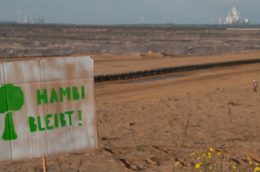 Environmentalists demonstrated on Saturday peacefully to preserve the Hambacher Forest