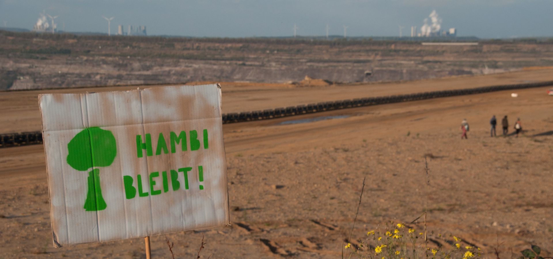 Environmentalists demonstrated on Saturday peacefully to preserve the Hambacher Forest