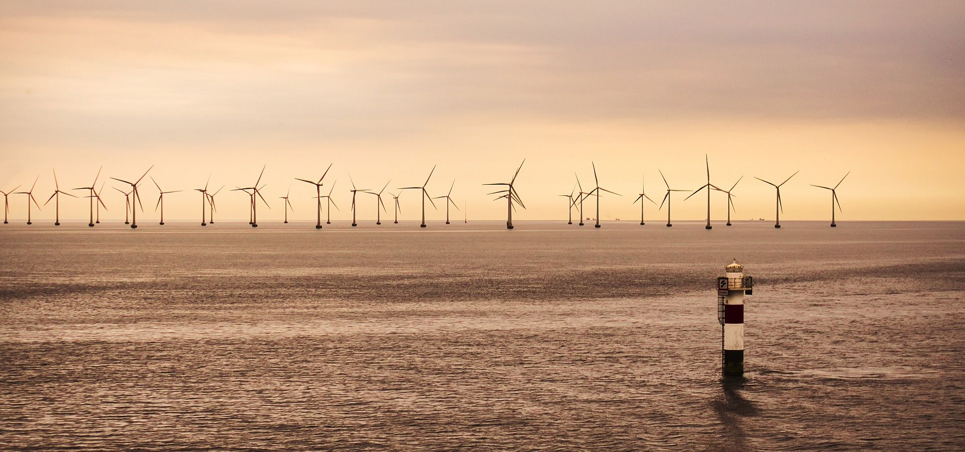 Offshore wind farms might be controlled by AI in future