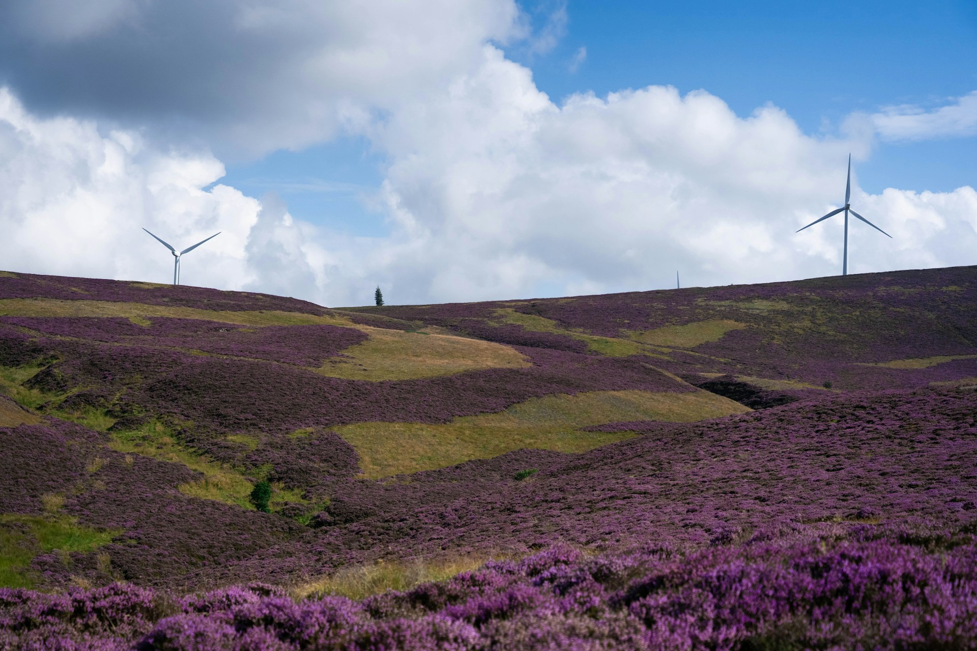 How Scotland can get its energy for renewables back | EnergyTransition.org